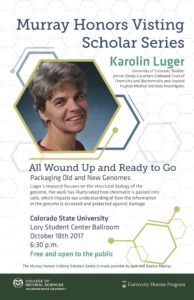 Murray Lecture poster 2017