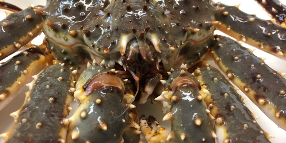 Norwegian crab fishing study hooks CSU bioinformatics researcher –  Department of Biology