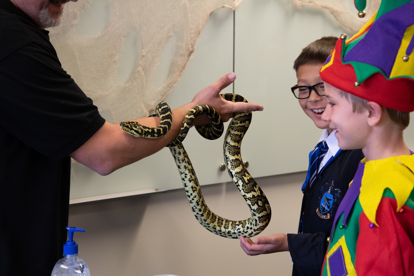 Image of children looking at large snake
