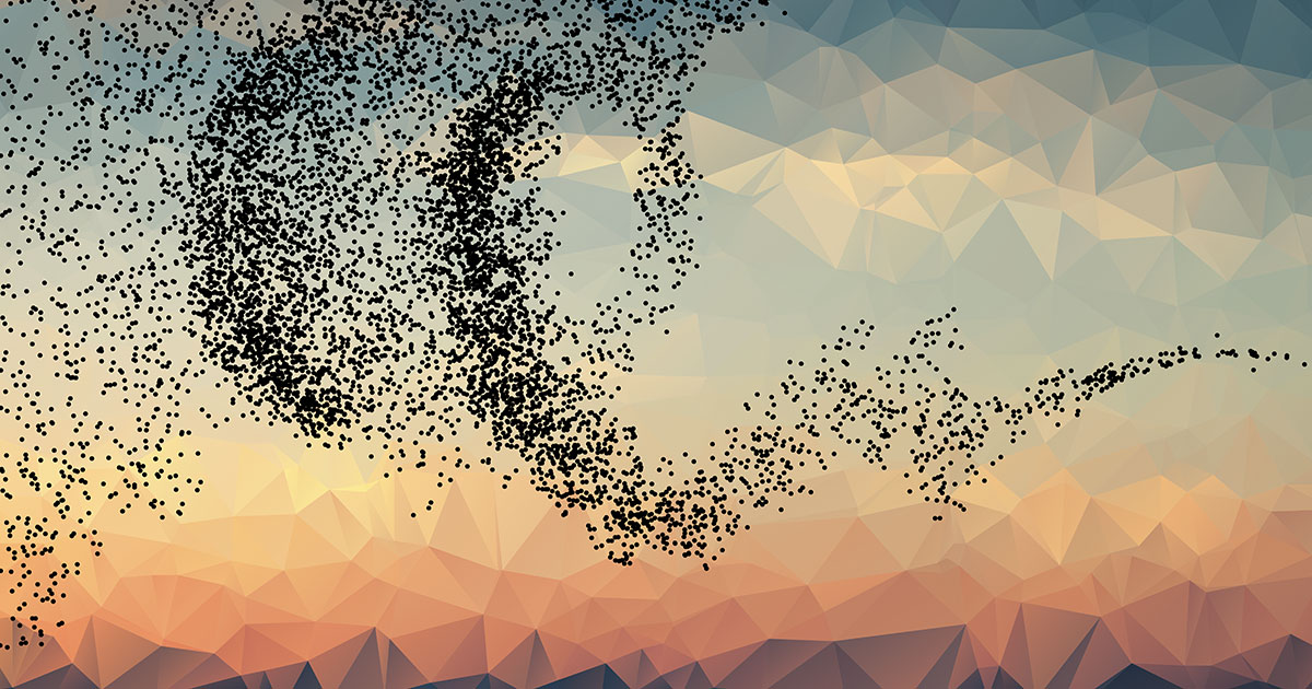 flocks of birds represented as points
