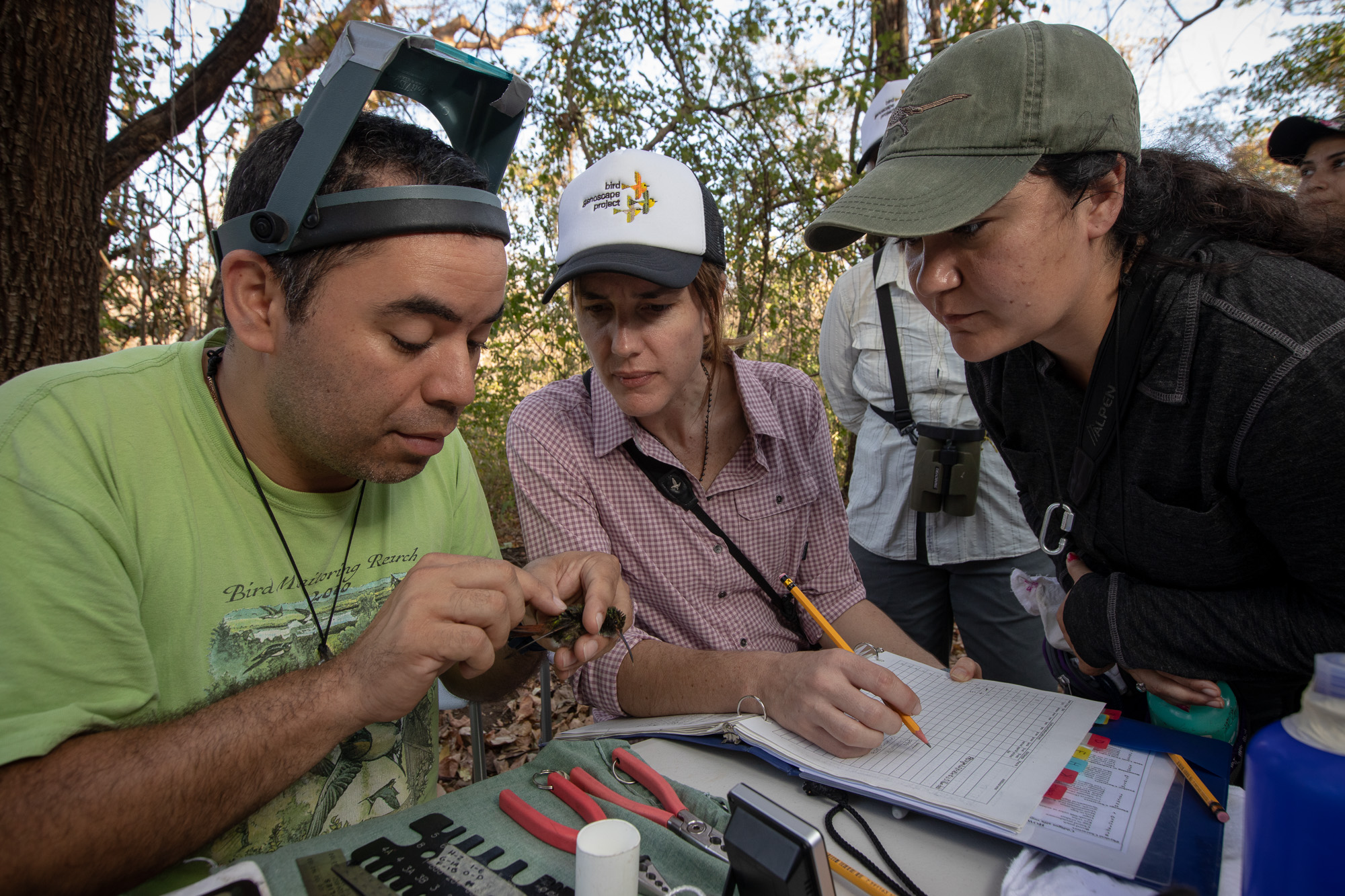 Researchers in the field