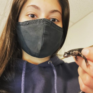 Priya Krakker holds a salamander as she does research on it.