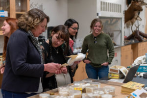 Left to Right: Tanya Dewey and Lauren Reid compare 2 index cards with information on eggs from the original specimen collection. 