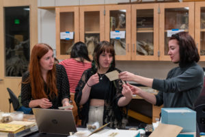 Left to Right: Jennifer Brady, Lauren Reid, and Emma Long look at an index card filled with original specimen metadata, working to read some of the faded ink. 