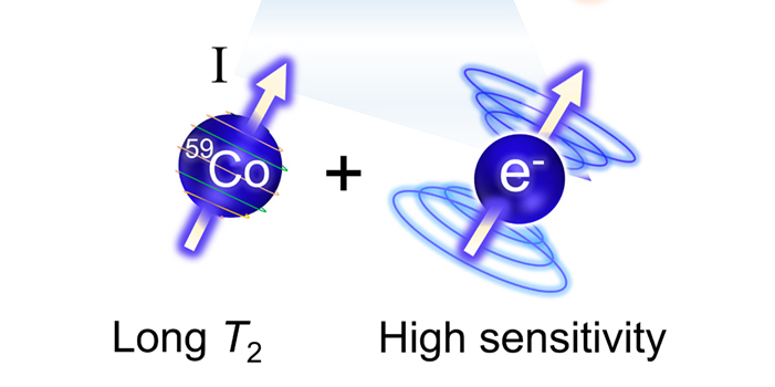 illustration of cobalt nuclear spin