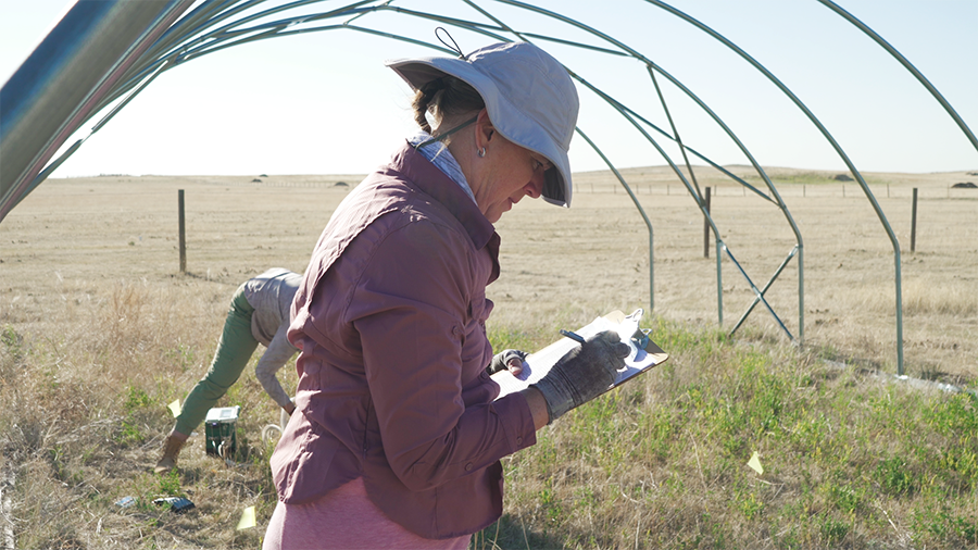 Melinda Smith working in a structure on the plains.